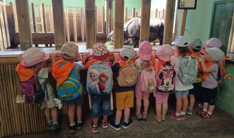 ZOO4